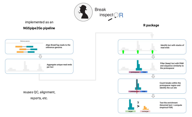 breakinspectoR workflow